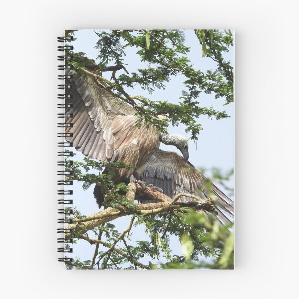 Item preview, African White-Backed Vulture designed and sold by Martina Nicolls.