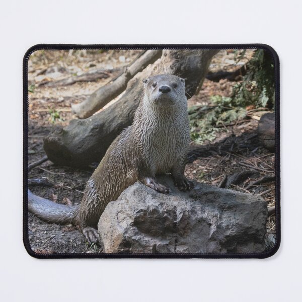 Item preview, The otter is IN designed and sold by Anthony Brewer.