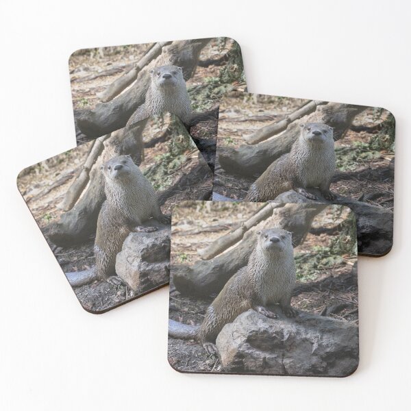 Item preview, The otter is IN designed and sold by Anthony Brewer.