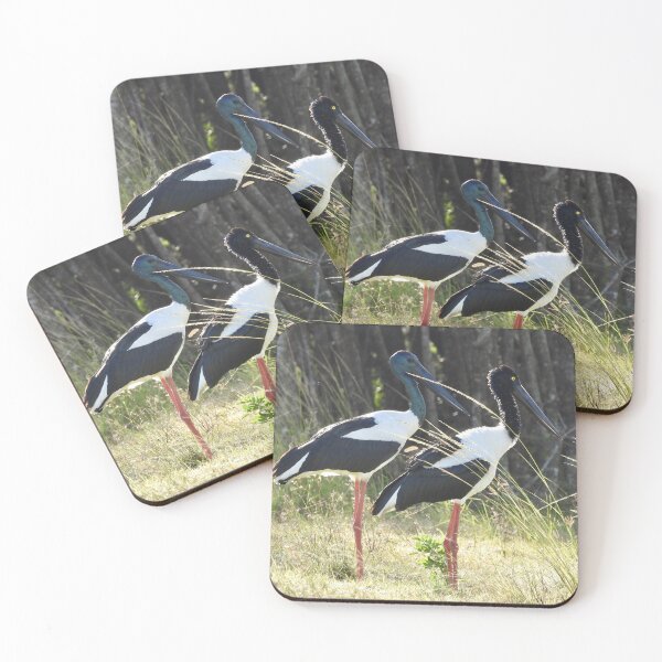 Item preview, Pair of Jabirus, Black-necked Storks designed and sold by Mark Grimsley.