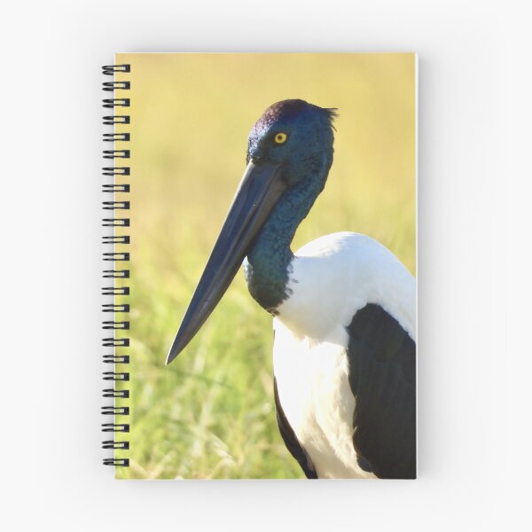 Item preview, Jabiru Black-necked Stork female designed and sold by Mark Grimsley.