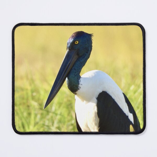 Item preview, Jabiru Black-necked Stork female designed and sold by Mark Grimsley.