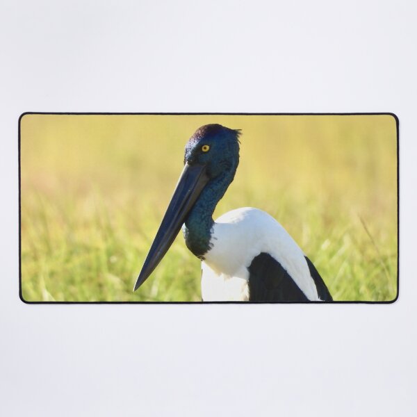 Item preview, Jabiru Black-necked Stork female designed and sold by Mark Grimsley.