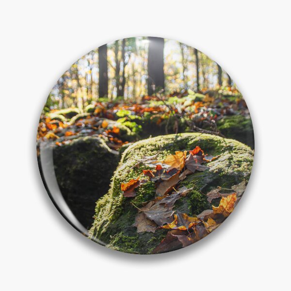Item preview, Sun Shines on the Rocky Autumn Forest Floor designed and sold by jrtwynam.