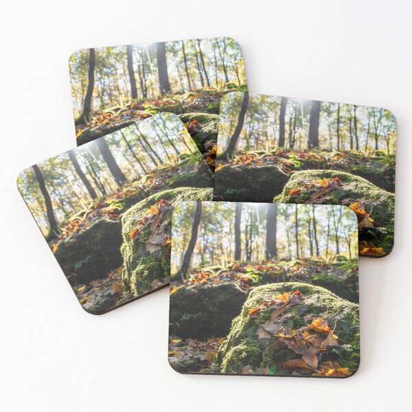 Item preview, Sun Shines on the Rocky Autumn Forest Floor designed and sold by jrtwynam.