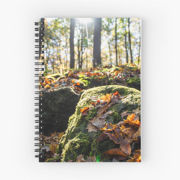 Item preview, Sun Shines on the Rocky Autumn Forest Floor designed and sold by jrtwynam.