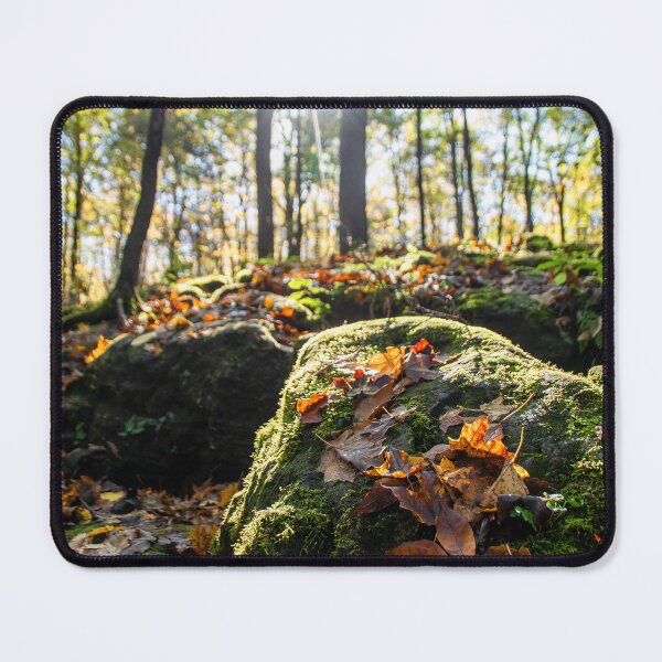 Item preview, Sun Shines on the Rocky Autumn Forest Floor designed and sold by jrtwynam.
