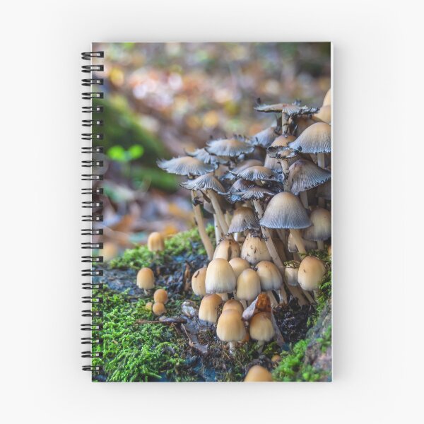 Item preview, Large Group of Mushrooms Grows on a Tree Trunk designed and sold by jrtwynam.