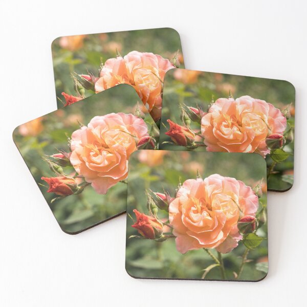 Item preview, Fragrant Peach-colored Rose Bloom Surrounded by Buds designed and sold by Georgia Mizuleva.
