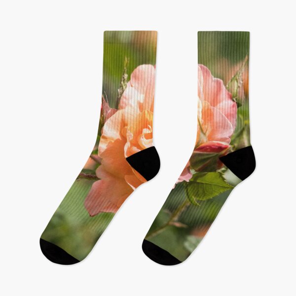 Item preview, Fragrant Peach-colored Rose Bloom Surrounded by Buds designed and sold by Georgia Mizuleva.