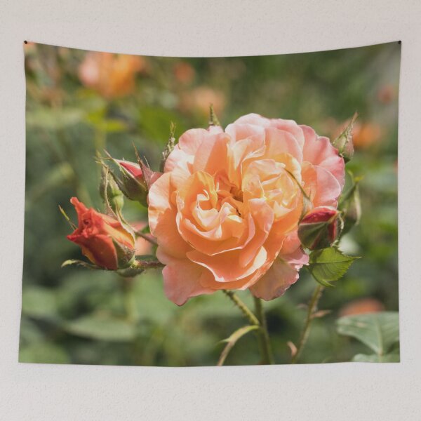 Item preview, Fragrant Peach-colored Rose Bloom Surrounded by Buds designed and sold by Georgia Mizuleva.