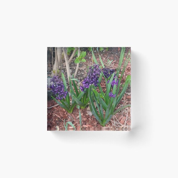 Item preview, Purple Springtime Flowers designed and sold by WhiteSoftPetals.