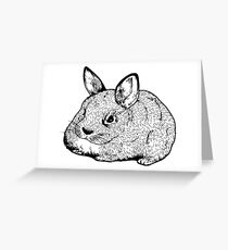 HASE Grußkarte