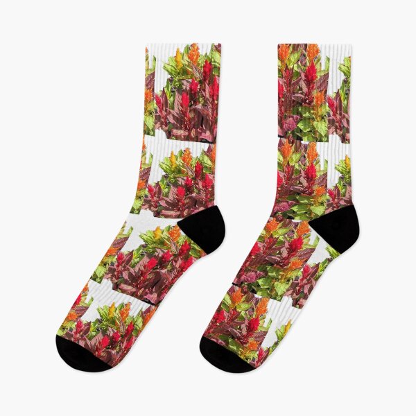 Item preview, CELOSIA designed and sold by JoAnnHayden.