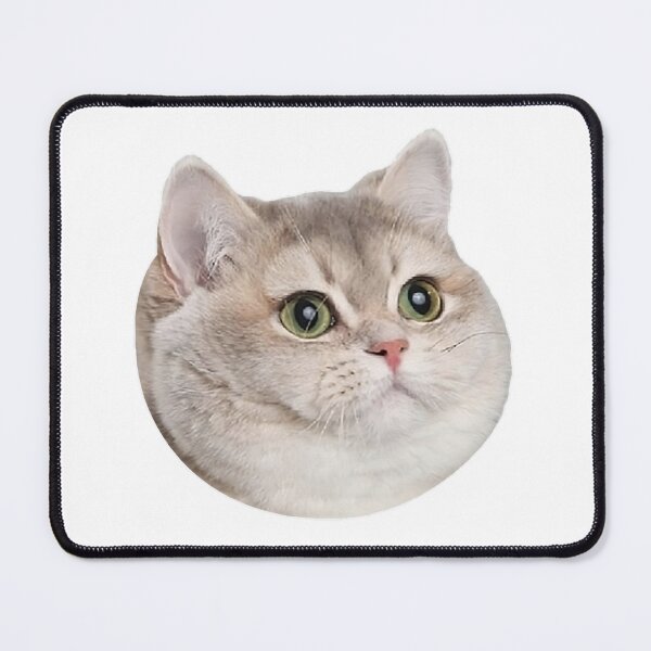 Item preview, Funny Cat Meme #6 designed and sold by thesnakeater.