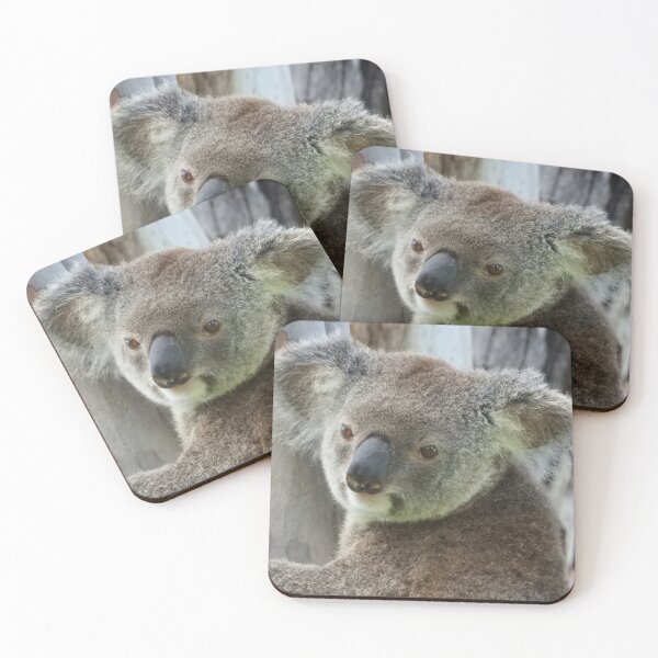 Item preview, Koala in a gumtree designed and sold by Jenny  Dyer.