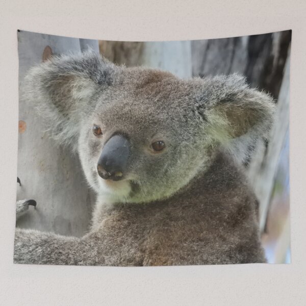 Item preview, Koala in a gumtree designed and sold by Jenny  Dyer.