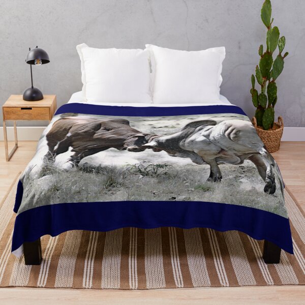 Item preview, BULL FIGHT IN THE OUTBACK, GREAT FOR TEE SHIRT ART designed and sold by Barbara Jean Photo Art And Design.