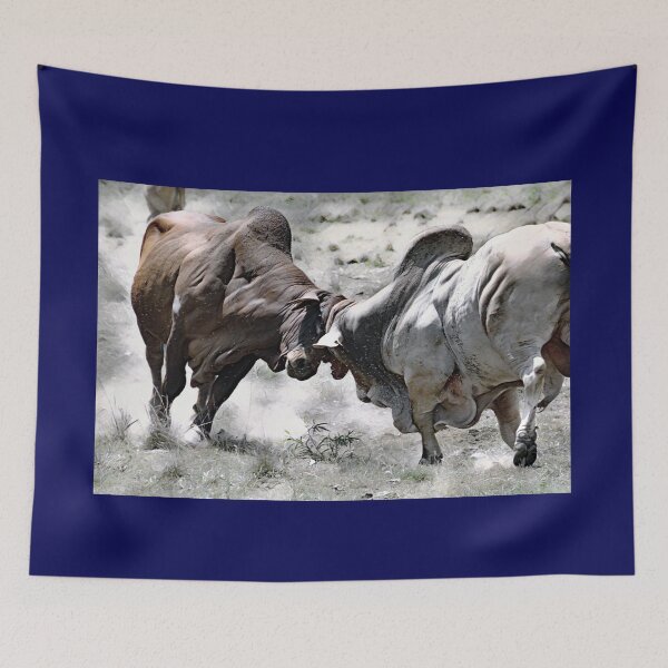 Item preview, BULL FIGHT IN THE OUTBACK, GREAT FOR TEE SHIRT ART designed and sold by Barbara Jean Photo Art And Design.