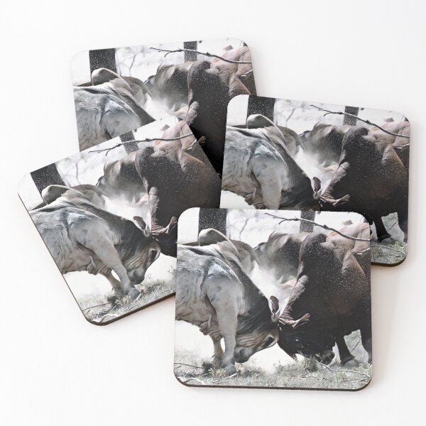 Item preview,  BULL FIGHT IN THE OUTBACK, MAKES GREAT TEE SHIRT ART, REAL LIFE ART designed and sold by Barbara Jean Photo Art And Design.