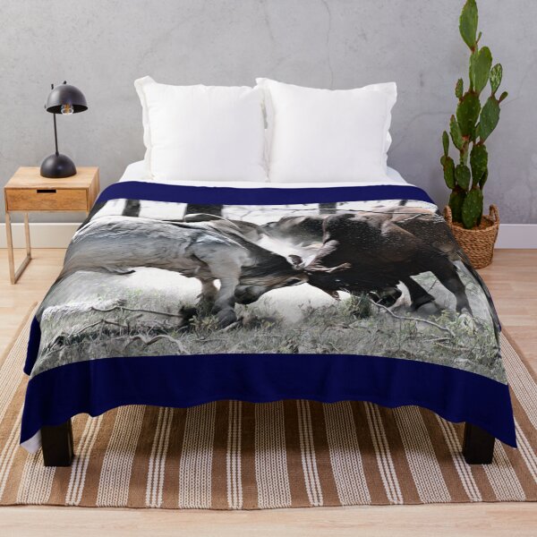 Item preview, BULL FIGHT IN THE OUTBACK, MAKES GREAT TEE SHIRT ART, REAL LIFE ART designed and sold by Barbara Jean Photo Art And Design.