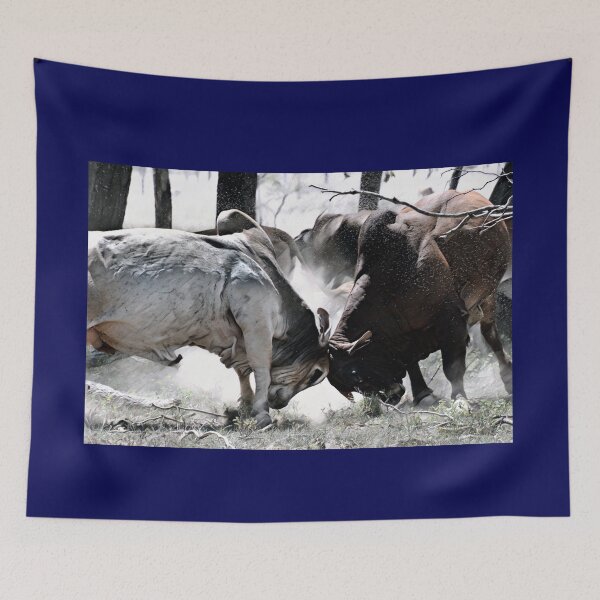 Item preview,  BULL FIGHT IN THE OUTBACK, MAKES GREAT TEE SHIRT ART, REAL LIFE ART designed and sold by Barbara Jean Photo Art And Design.