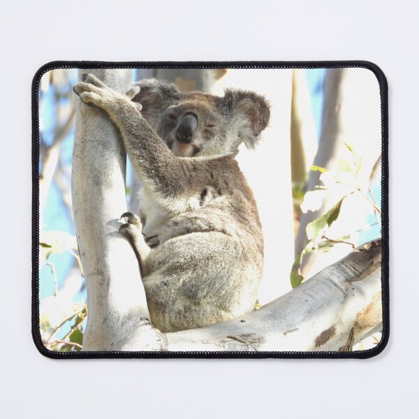 Item preview, Koala sitting high in the old gum tree designed and sold by Jenny Dyer.