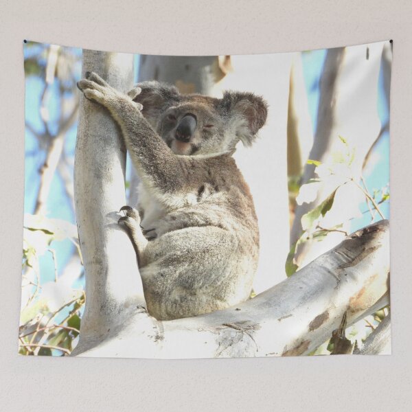 Item preview, Koala sitting high in the old gum tree designed and sold by Jenny  Dyer.