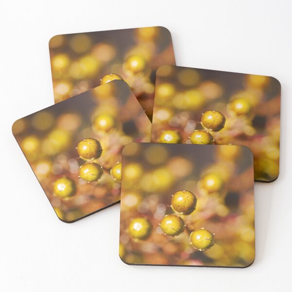 Item preview, Crepe Myrtle Has Golden Buds designed and sold by Joy Watson - Natural Light Photography .