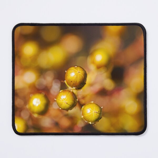 Item preview, Crepe Myrtle Has Golden Buds designed and sold by Joy Watson - Natural Light Photography .