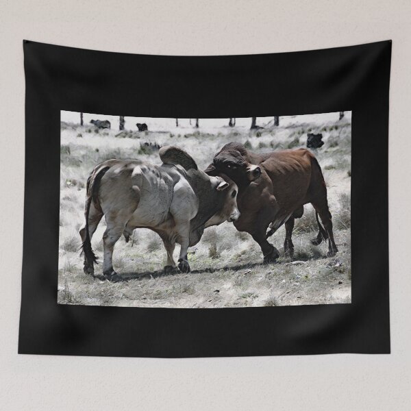 Item preview, BULL FIGHT IN THE OUTBACK, MAKES FOR GREAT WALL ART designed and sold by Barbara Jean Photo Art And Design.