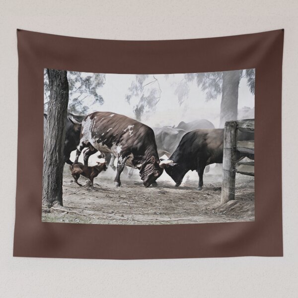 Item preview, BULL FIGHT IN THE OUTBACK, MAKES GREAT TEE SHIRT ART designed and sold by Barbara Jean Photo Art And Design.