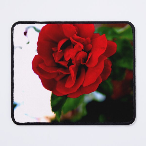 Item preview, FLOWER SERIES 1 Scarlet Delight Floating Rose Greeting V2 designed and sold by MarcusAxel.