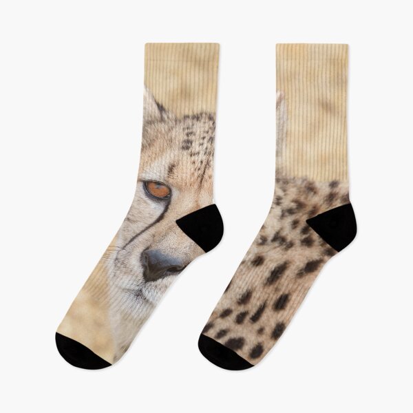 Item preview, Face of the Wild: Cheetah's Intense Look designed and sold by rawshutterbug.