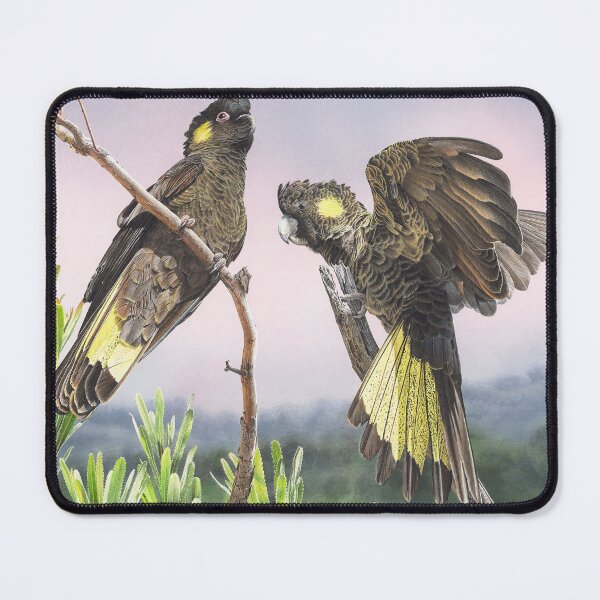 Item preview, Free Spirits (Yellow-tailed Black Cockatoos) designed and sold by Frances McMahon Watercolour Bird Artist.