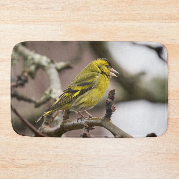 Item preview, Songs and tones. Eurasian siskin designed and sold by Jouko Lehto Photography.