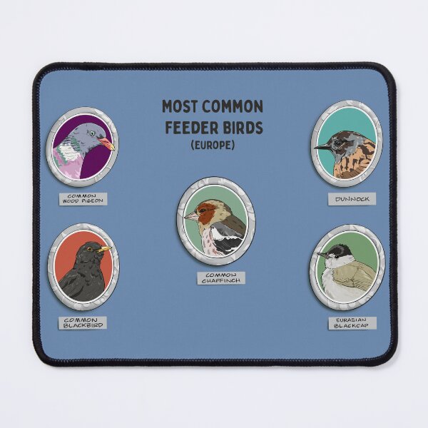 Item preview, Most Common Feeder Birds designed and sold by UrsulaRodgers.