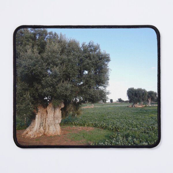 Item preview, A giant olive tree in a field of green leafy vegetables. designed and sold by EAnneH.