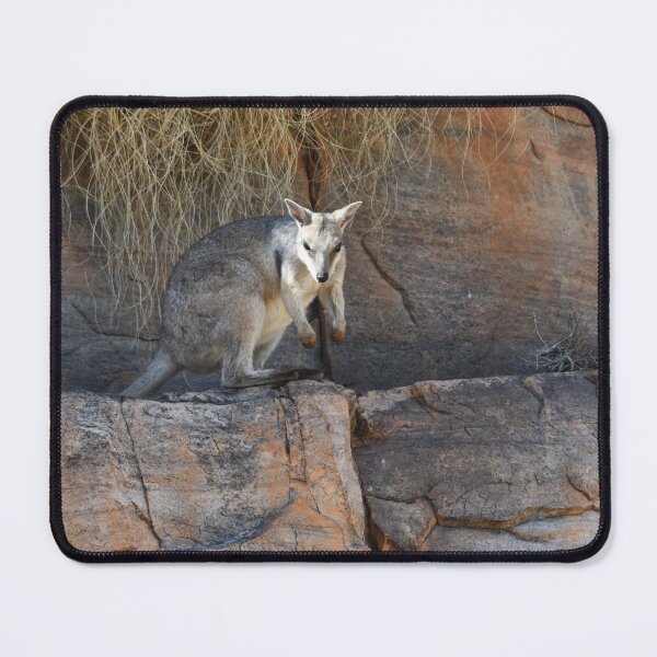 Item preview, A rock wallaby standing on a sandstone rock edge. designed and sold by EAnneH.