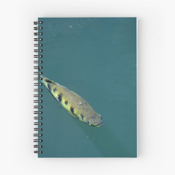 Item preview, An archer fish looking for prey. designed and sold by EAnneH.