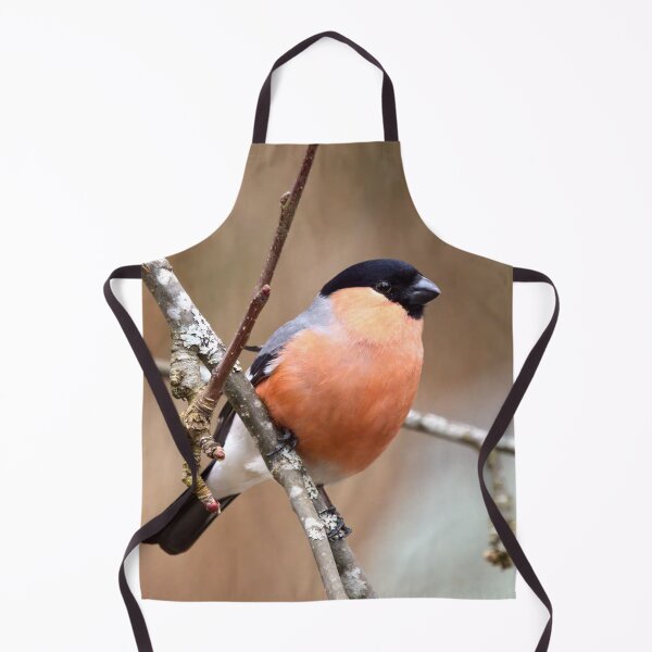 Item preview, 45 deg. Eurasian bullfinch designed and sold by Jouko Lehto Photography.