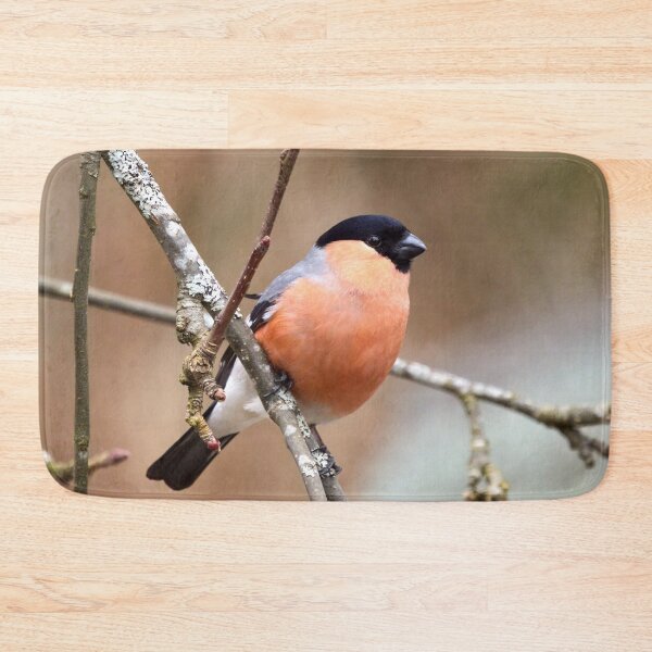 Item preview, 45 deg. Eurasian bullfinch designed and sold by Jouko Lehto Photography.