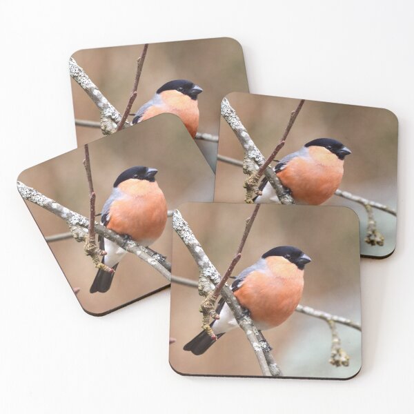 Item preview, 45 deg. Eurasian bullfinch designed and sold by Jouko Lehto Photography.