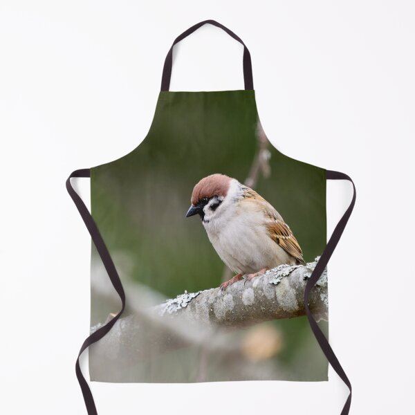 Item preview, Enjoying the peace of an apple tree. Eurasian tree sparrow designed and sold by Jouko Lehto Photography.