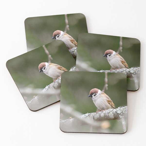 Item preview, Enjoying the peace of an apple tree. Eurasian tree sparrow designed and sold by Jouko Lehto Photography.