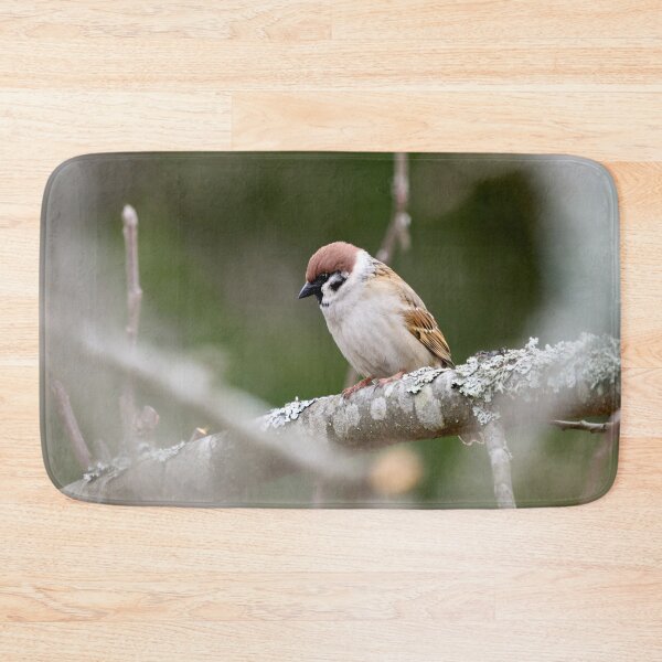Item preview, Enjoying the peace of an apple tree. Eurasian tree sparrow designed and sold by Jouko Lehto Photography.