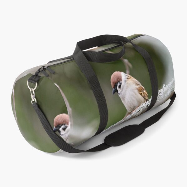 Item preview, Enjoying the peace of an apple tree. Eurasian tree sparrow designed and sold by Jouko Lehto Photography.