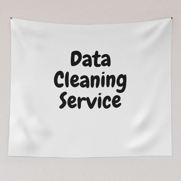 Item preview, Data Cleaning Service designed and sold by rawaart1.