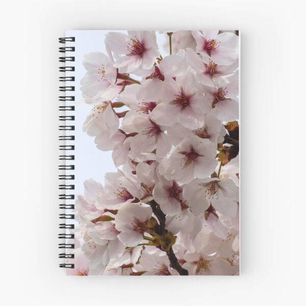 Artikelvorschau, Kirschblüte 10 entworfen und verkauft von yunee.