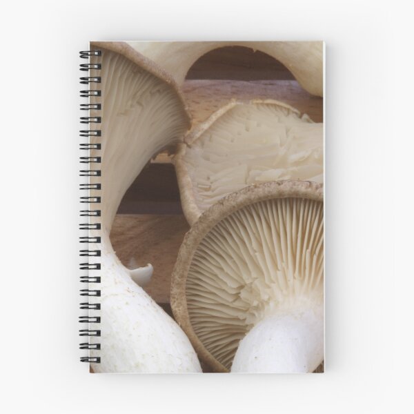 Item preview, Mushrooms designed and sold by SmoothBreeze7 | Liz Collet Photography.